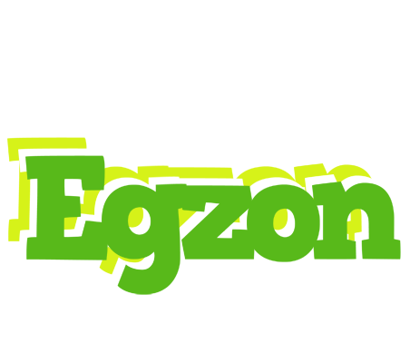 Egzon picnic logo