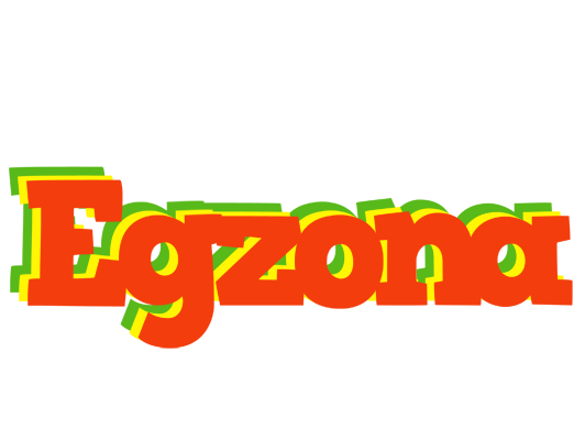 Egzona bbq logo