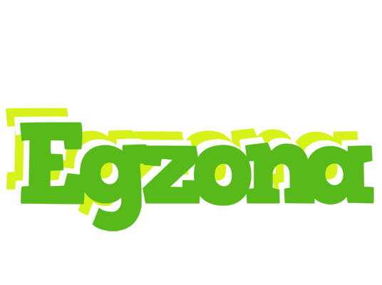 Egzona picnic logo