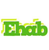 Ehab picnic logo