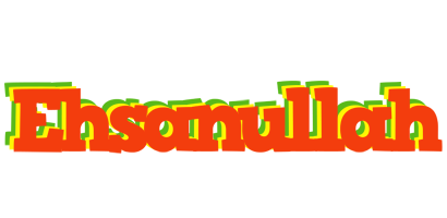 Ehsanullah bbq logo