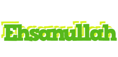 Ehsanullah picnic logo