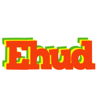 Ehud bbq logo