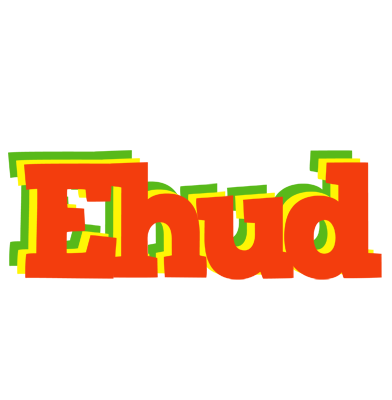 Ehud bbq logo