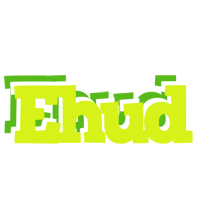 Ehud citrus logo