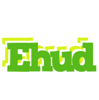 Ehud picnic logo