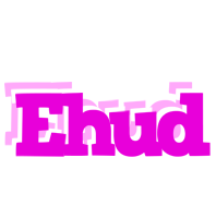 Ehud rumba logo