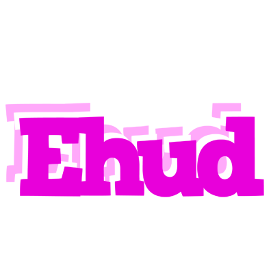 Ehud rumba logo