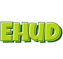 Ehud summer logo