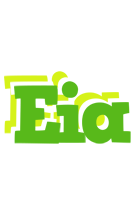 Eia picnic logo