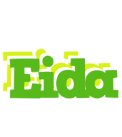 Eida picnic logo