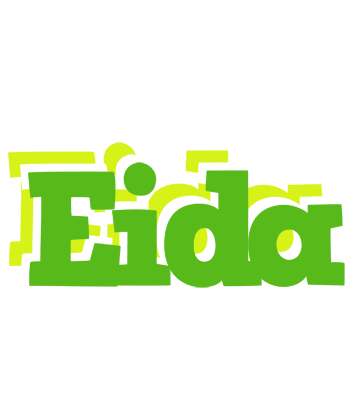 Eida picnic logo