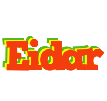 Eidar bbq logo