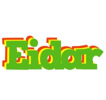 Eidar crocodile logo