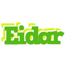 Eidar picnic logo