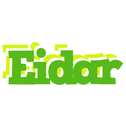 Eidar picnic logo