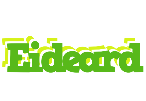 Eideard picnic logo