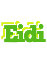 Eidi picnic logo