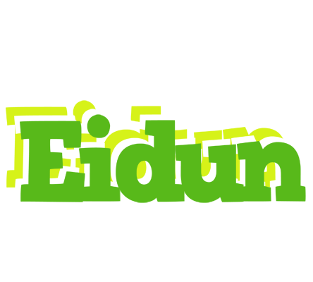 Eidun picnic logo