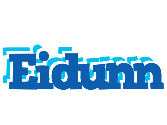 Eidunn business logo
