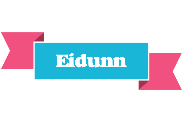 Eidunn today logo