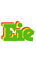 Eie crocodile logo