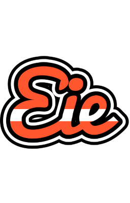 Eie denmark logo