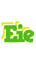 Eie picnic logo