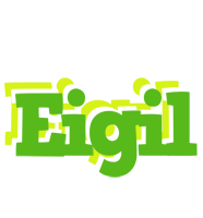 Eigil picnic logo