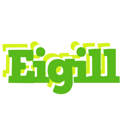 Eigill picnic logo