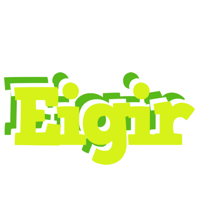 Eigir citrus logo