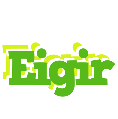 Eigir picnic logo