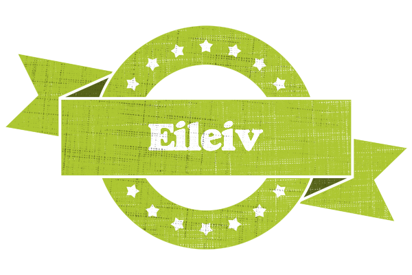 Eileiv change logo