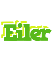 Eiler picnic logo