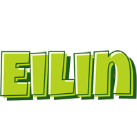 Eilin summer logo