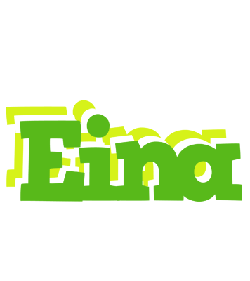 Eina picnic logo