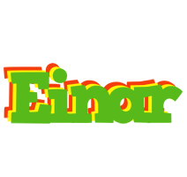 Einar crocodile logo