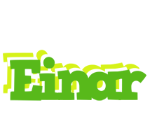 Einar picnic logo