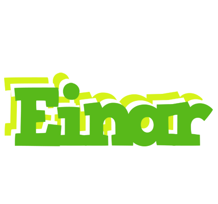 Einar picnic logo