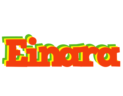 Einara bbq logo
