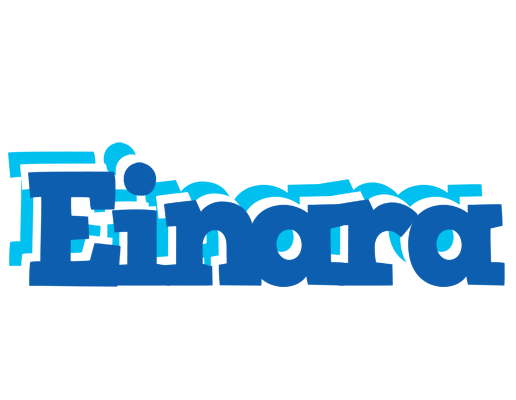 Einara business logo