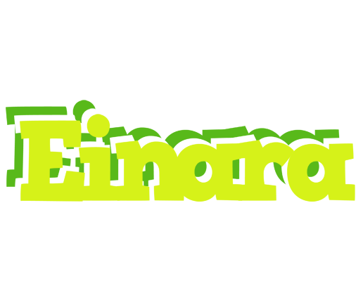 Einara citrus logo
