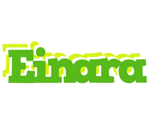 Einara picnic logo
