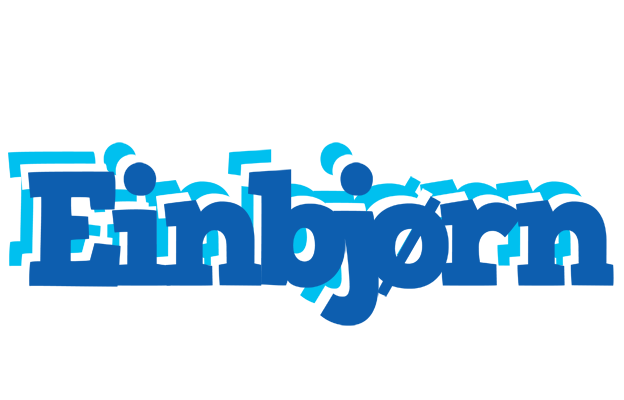 Einbjørn business logo