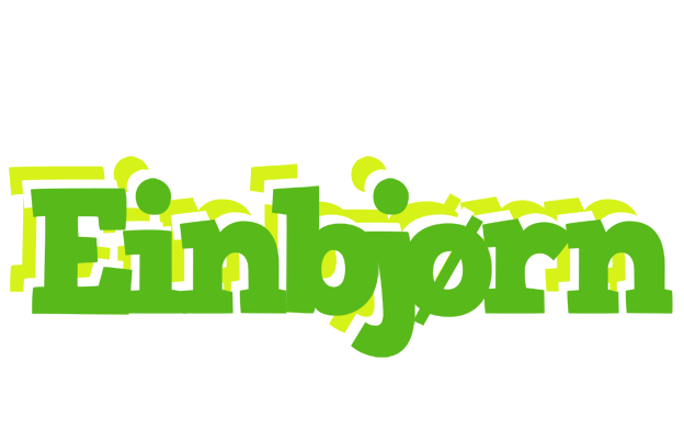 Einbjørn picnic logo