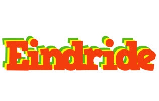 Eindride bbq logo