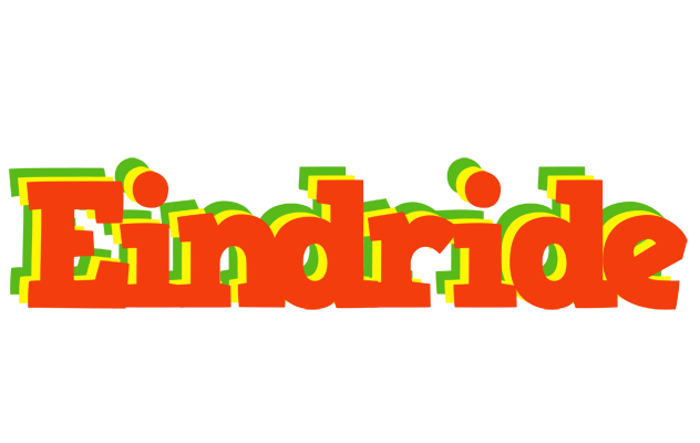 Eindride bbq logo