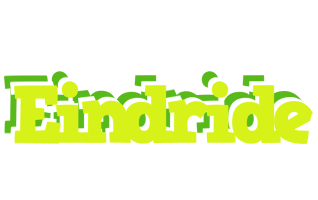 Eindride citrus logo