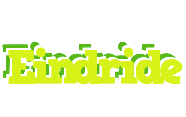 Eindride citrus logo