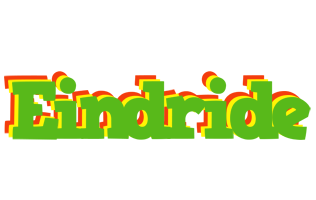 Eindride crocodile logo